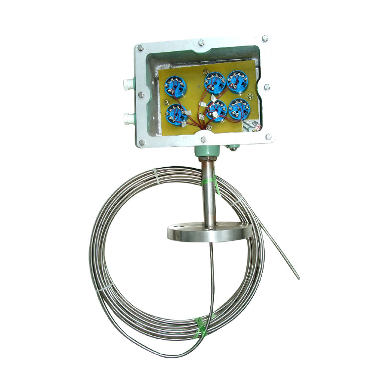 多點防爆熱電偶